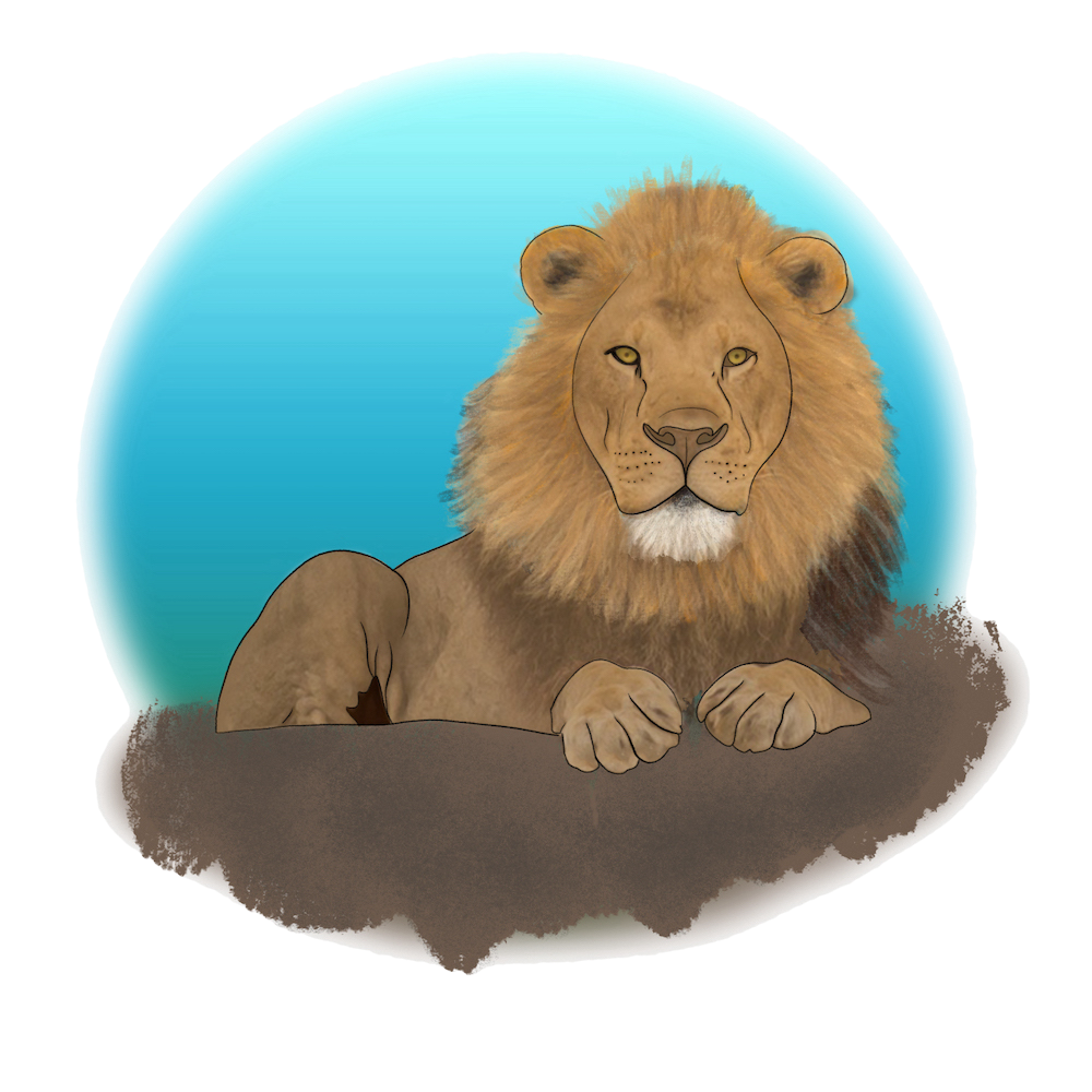 Lion Illustration by Celeste Pearce